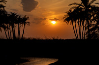 #2723 - Florida Sunset